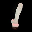 SilexD 7 inch Glow in the Dark Realistic Silicone Dual Density Dildo with Suction Cup and Balls Pink additional 4