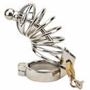 Impound Corkscrew Male Chastity Device with Penis Plug additional 3