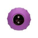 Loving Joy Rose Licking Clitoral Vibrator Purple additional 4