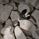 LELO Hugo 2 Remote Controlled Prostate Massager Black additional 6