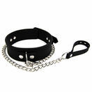 Bound to Please Silicone Collar & Lead Set additional 4