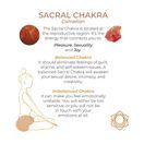 Adrien Lastic Harmony Stones Kegel Balls additional 4