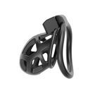 Impound Sentinal Cock Cage additional 1