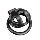 Impound Sentinal Cock Cage additional 3