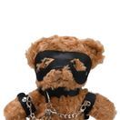 Bound to Please Bondage Bear additional 4